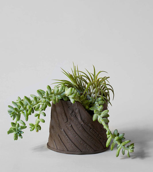 Bark Planter