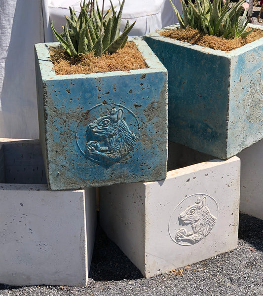 Gray Squirrel Cameo Planter