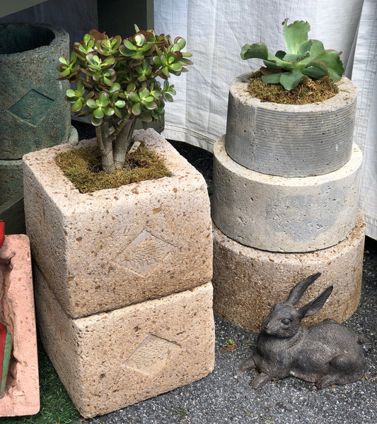 Echidna Square Trough