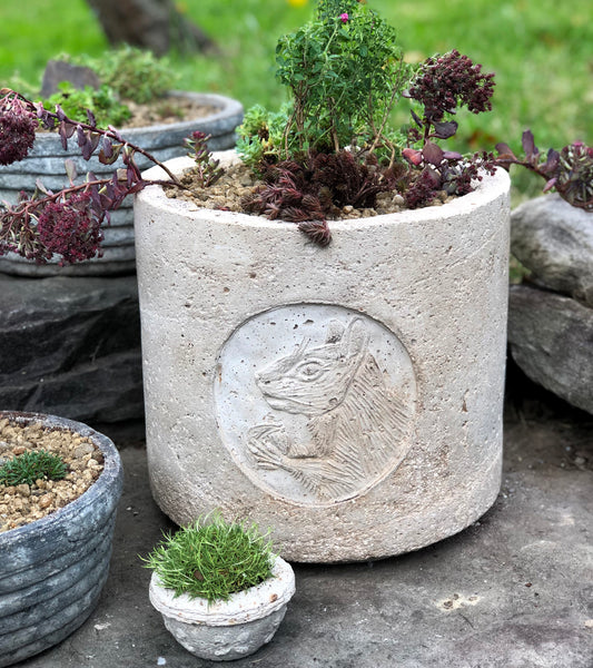 Gray Squirrel Cameo Round Planter