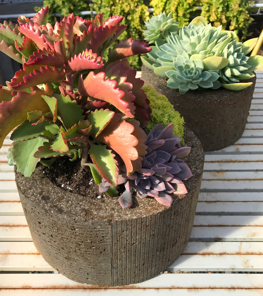 Stripes Planter
