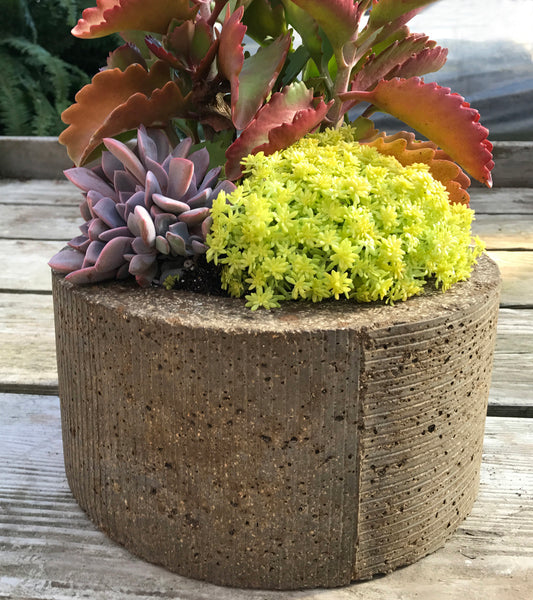 Stripes Planter