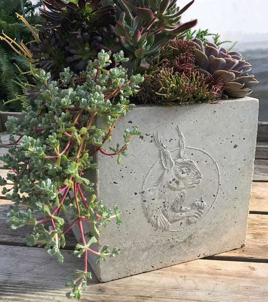 Red Squirrel Cameo Planter