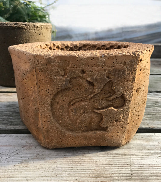 Bandit Squirrel Hexagonal Planter