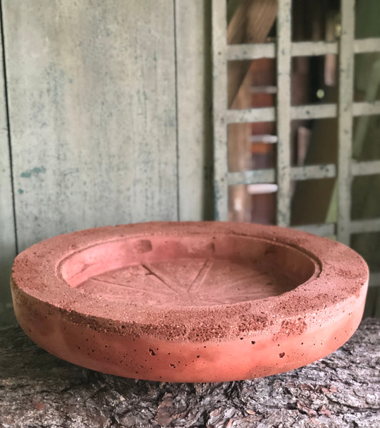 Wide Rim Planter