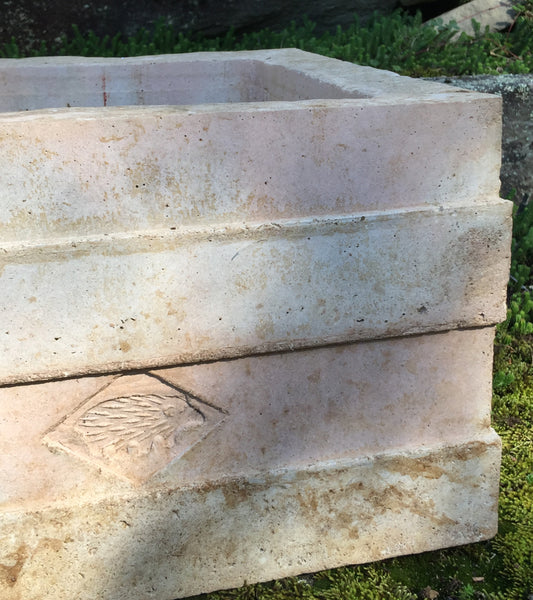Low Striped Planter with Mini Echidna