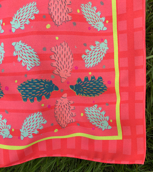 Checkered Fire Engine + Mint Echidna Scarf