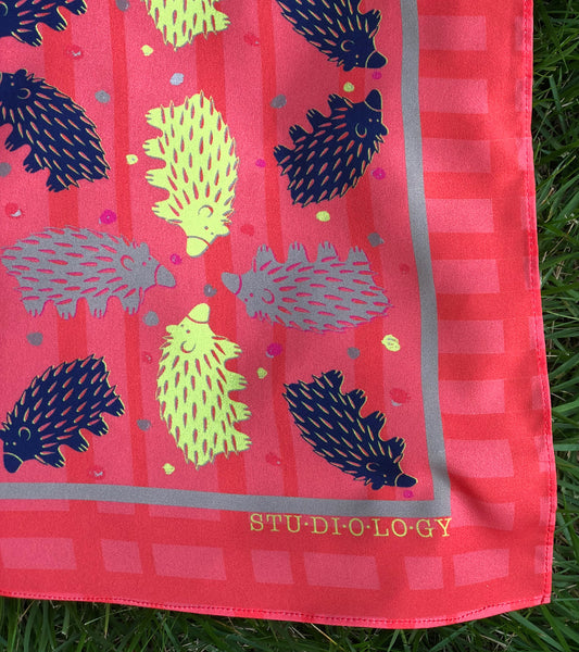Checkered Fire Engine + Navy Echidna Scarf