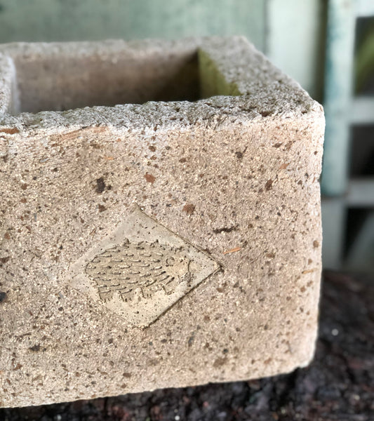 Echidna Square Trough