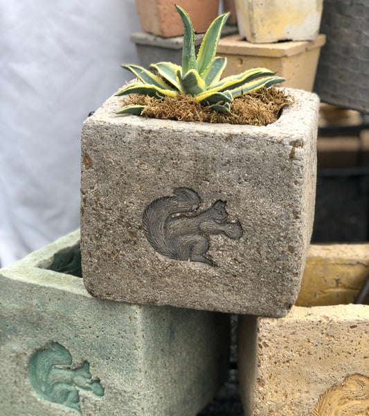 Bandit Squirrel Square Trough