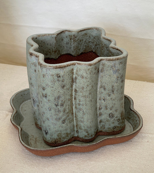 LARGE Quatrefoil Planter & Saucer / ROBBIN'S EGG