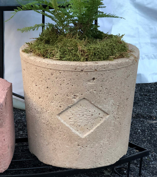 Echidna Planter