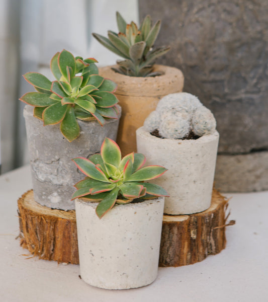 Simple Mini Planter