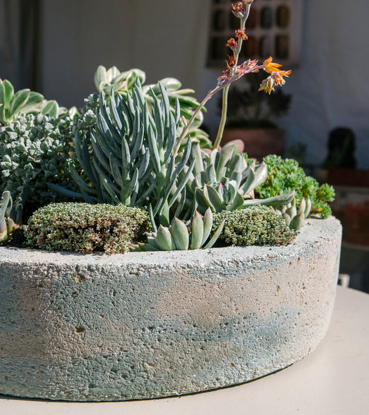 Tapered Low Planter - Marbled