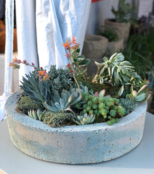 Tapered Low Planter - Marbled