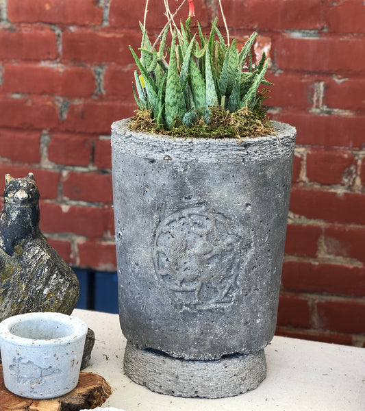 Planter with Vintage Squirrel Medallion - Charcoal