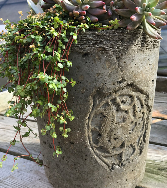 Planter with Vintage Squirrel Medallion - Charcoal