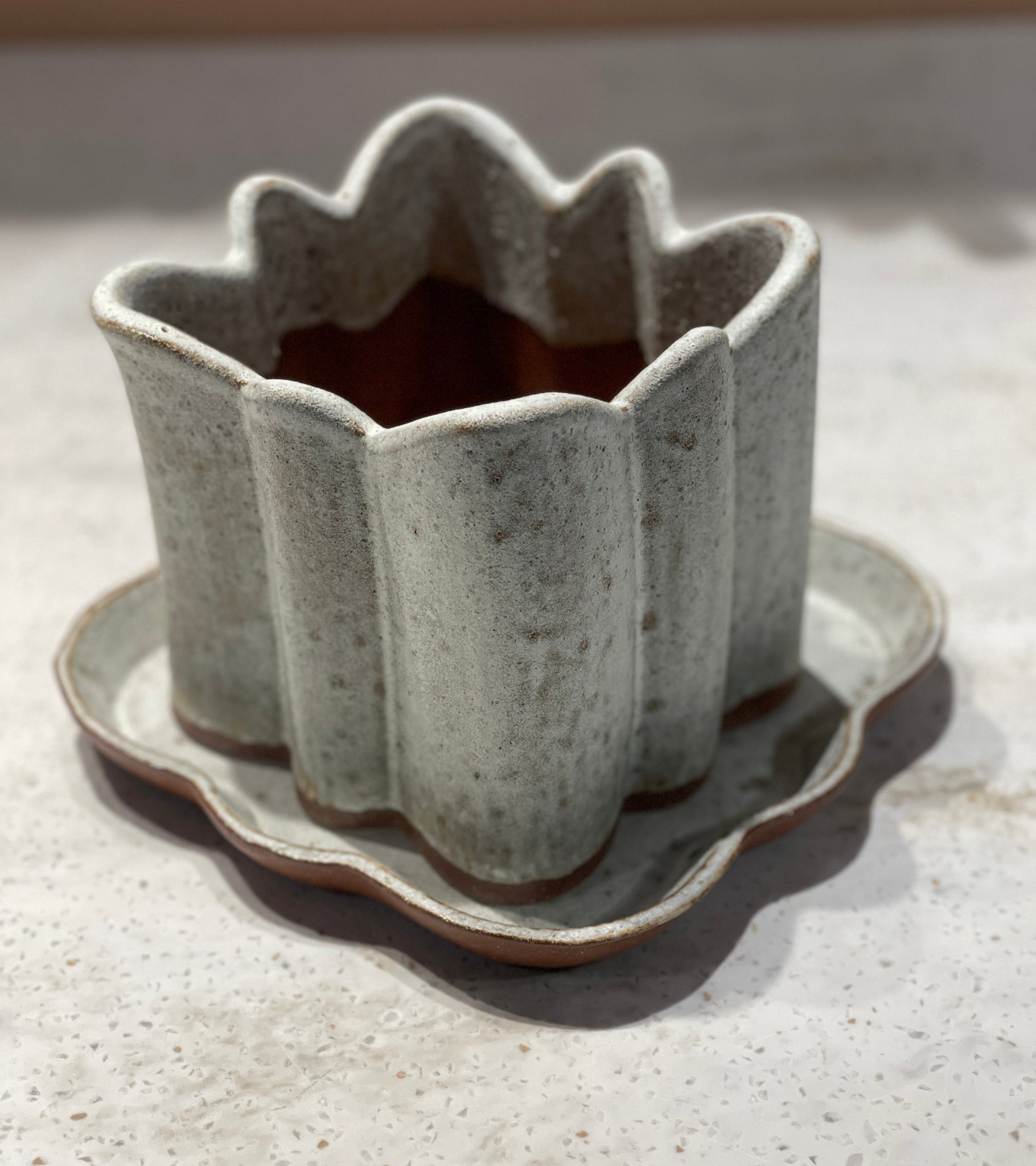 large saucer planter LARGE Quatrefoil Planter & Saucer / SEA SALT – STU.DI.OL.O.GY