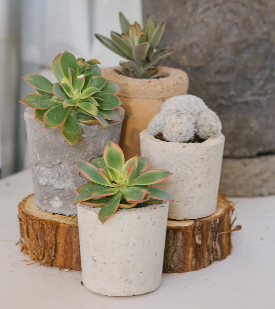 mini planter pots Simple Mini Planter – STU.DI.OL.O.GY